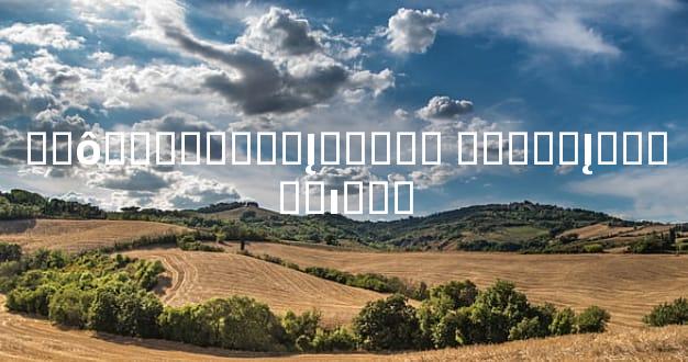 ��ô�Դ������Į֢���� �����Į֢���˵ı���